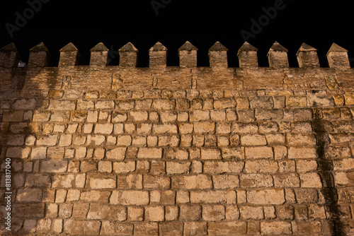 Wall Of Seville Alcazar At Night In Spain