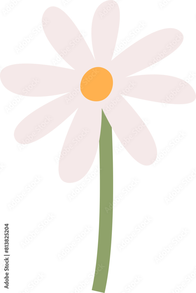 Chamomile Flower On Stem Chamomile Flower On Stem