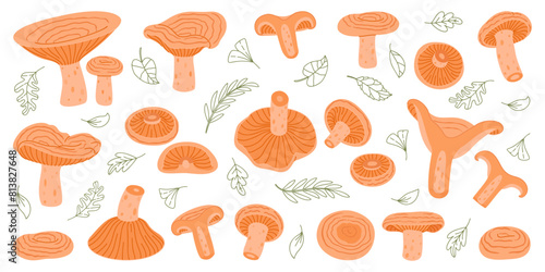 Saffron milk cap mushroom set. Edible forest mushrooms flat icon. Hand Drawn delicious milk cap Trendy flat style. Fungus Group Engraved. Red pine mushroom Isolated on white. Vector illustration
