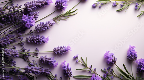 lavender flower frame on a purple solid background with copy-space