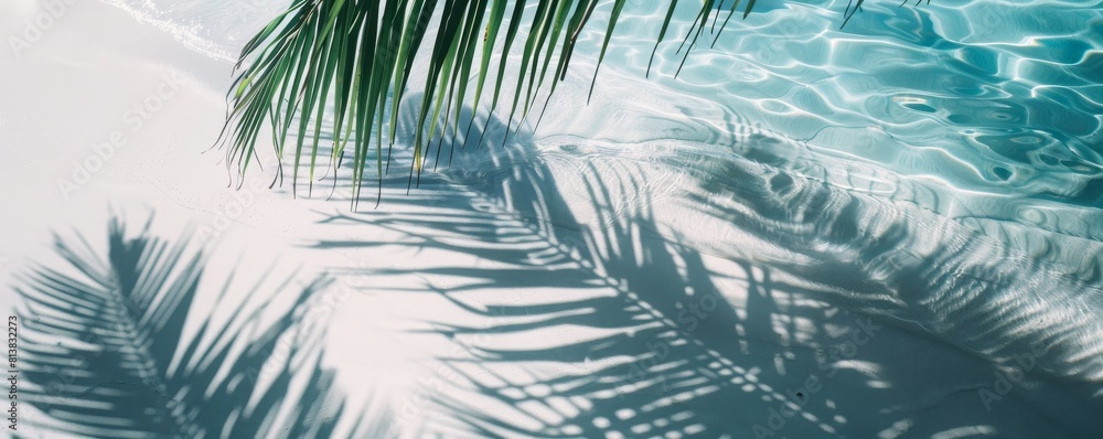 Shadow of palm leaves on white sand beach. Beautiful abstract background concept banner for summer vacation at the beach