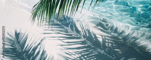 Shadow of palm leaves on white sand beach. Beautiful abstract background concept banner for summer vacation at the beach