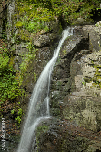 a waterfall in the forest flows from a moss-covered rock and continues through the forest