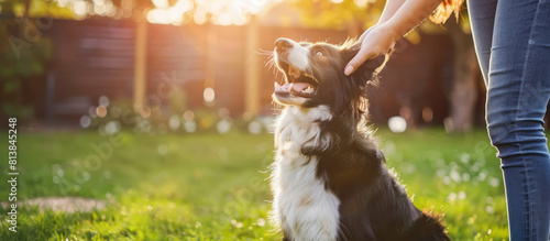 A joyful dog enjoys playing with its owner in a bright backyard, radiating happiness and fun. AI generative. photo