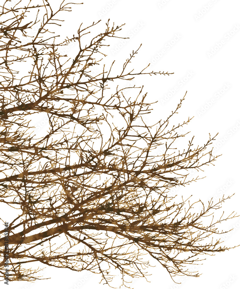 Obraz premium 桜の木シルエット1