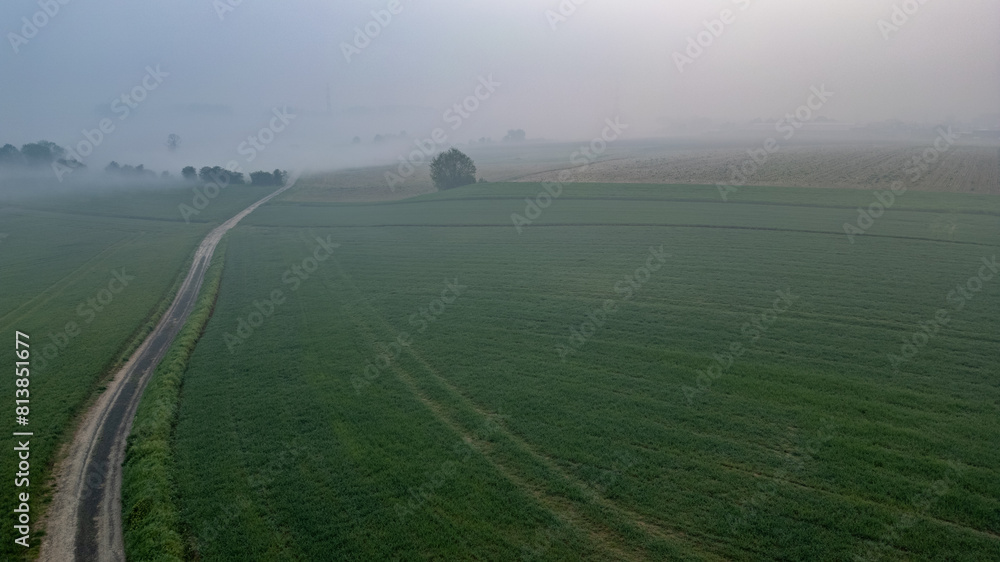 An aerial view captures a serene, foggy morning over a lush countryside landscape. A narrow road bisects vibrant green fields, stretching into the misty horizon. The soft, diffused light of dawn