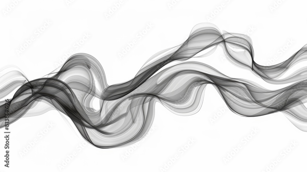 Fototapeta premium Elegant black and white abstract smoke waves background