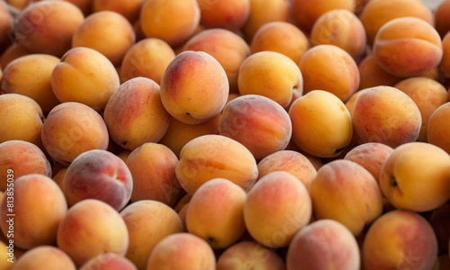 Ripe apricots in various shades of yellow and orange with some red blushes  each having a smooth texture visible with natural imperfections on the skin.