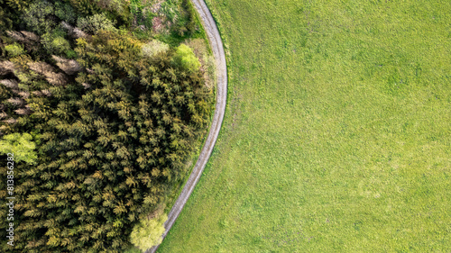 This aerial image showcases the striking contrast between a lush, vibrant green grassy field and a dense forest. The curving boundary where the two landscapes meet is highlighted by a narrow, winding