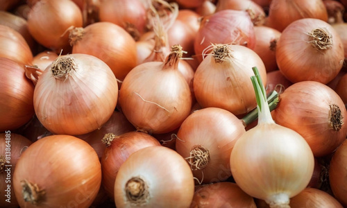 A collection of onions, including red/purple onions, white onions, and classic brown/yellow onions. The skins on some of the onions are slightly peeled revealing their layers.