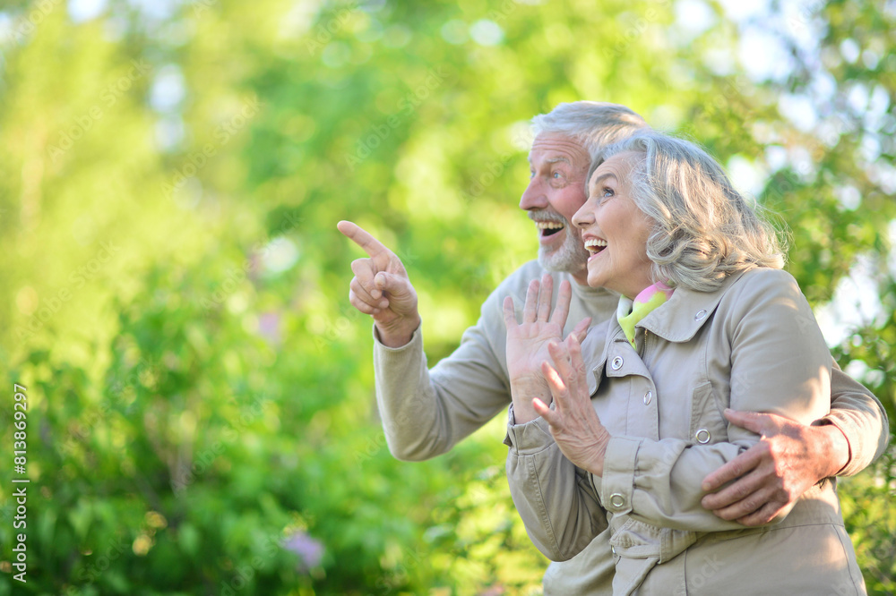 Portrait of a beautiful hugging elderly couple in a summer park Portrait of a beautiful hugging elderly couple in a summer park