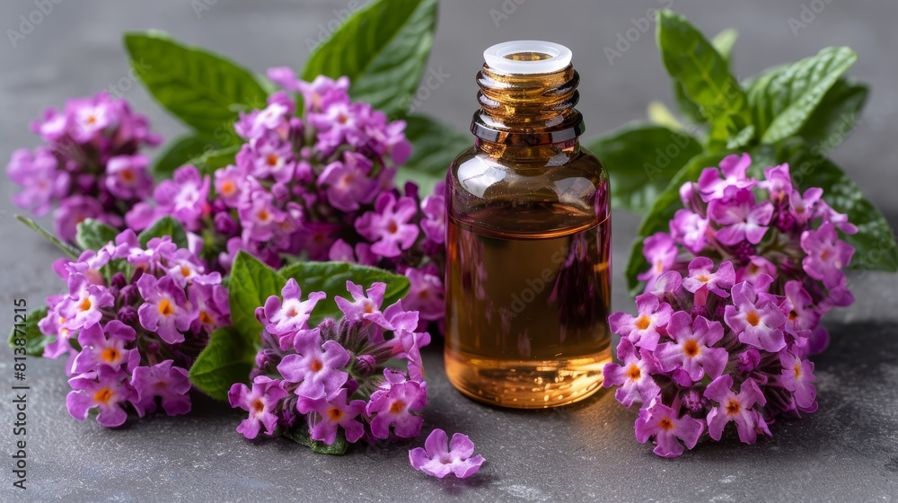Thyme essential oil bottle with delicate blooming flowers for aromatherapy and wellness enthusiasts Thyme essential oil bottle with delicate blooming flowers for aromatherapy and wellness enthusiasts