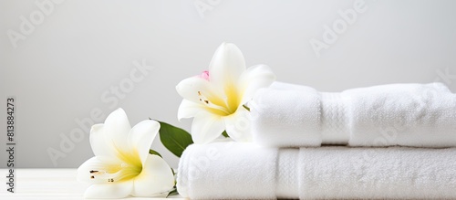 Isolated on a white background this image showcases soft towels with a dispenser and a flower providing a visually appealing copy space image