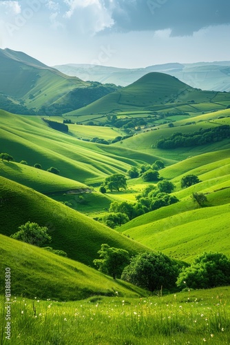Verdant Green Hills Undulating in the Warm Light of Early Morning