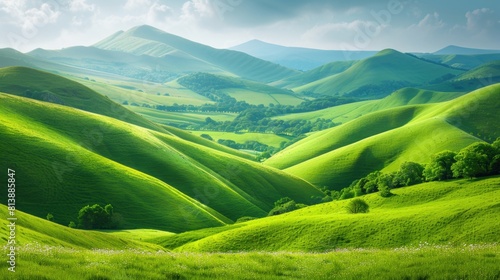 Verdant Green Hills Undulating in the Warm Light of Early Morning