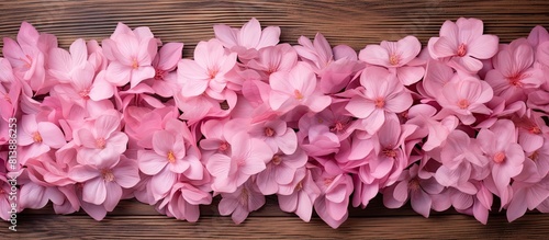 Pink flowers arranged neatly in a bed of wooden chips providing an attractive and visually pleasing copy space image