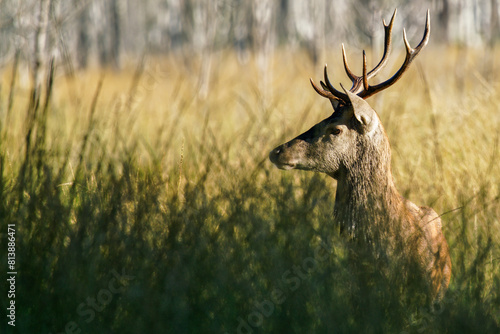 Une rencontre magique