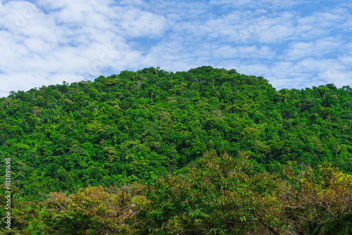 Mountains covered with green trees under the sky