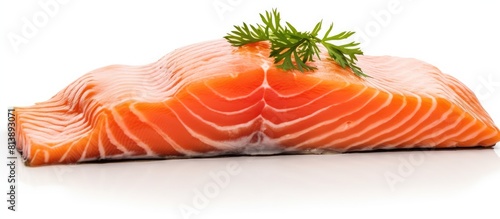 The appetizing cooked salmon is gracefully presented on a pristine white background providing ample space for copy or additional imagery