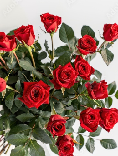bouquet of bright red roses on a white background © marco