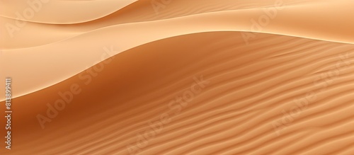 The sandy background showcases clear shapes of ripples providing an ideal copy space image