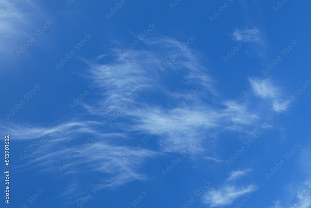 Cielo Cielo