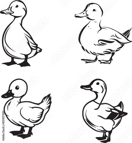 black and white duck outline