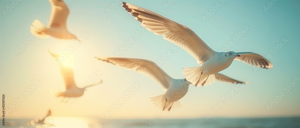 Obraz premium A flock of seagulls flying in the sky over the ocean