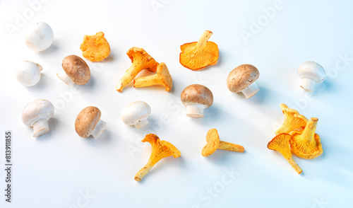 Pilze, Pfifferlinge, Champignons, isoliert, waldpilze,  © Kossmann / Plutat