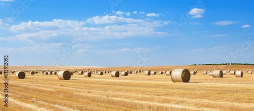 Summer field with hay bales under a clear blue sky offering ample copy space for images photo