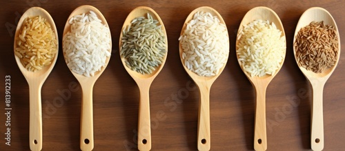 A variety of rice species displayed on spoons in a copy space image