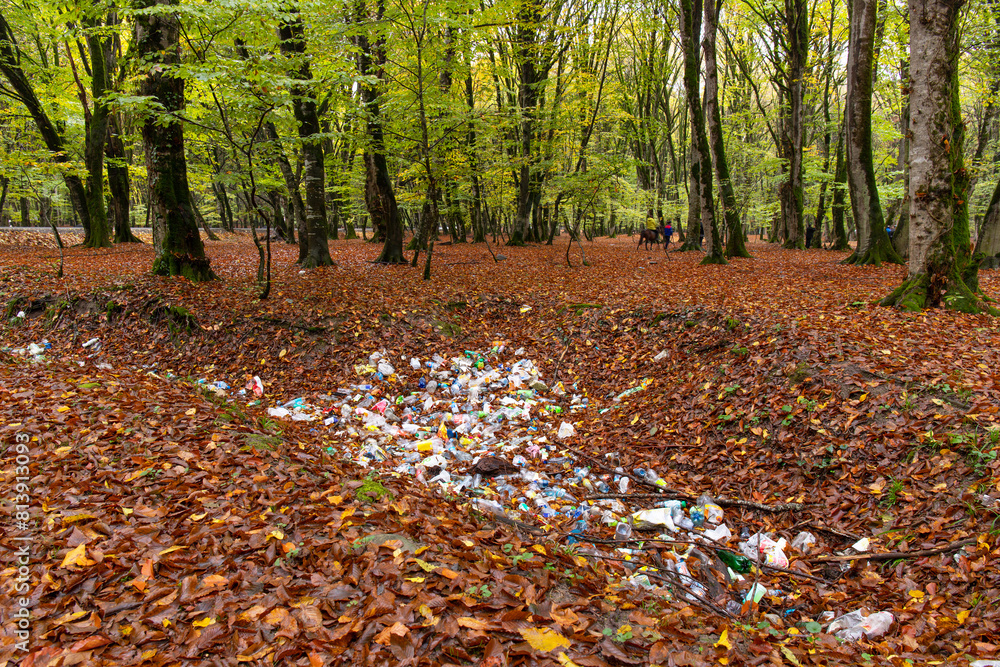 Pollution in a beautiful autumn forest.