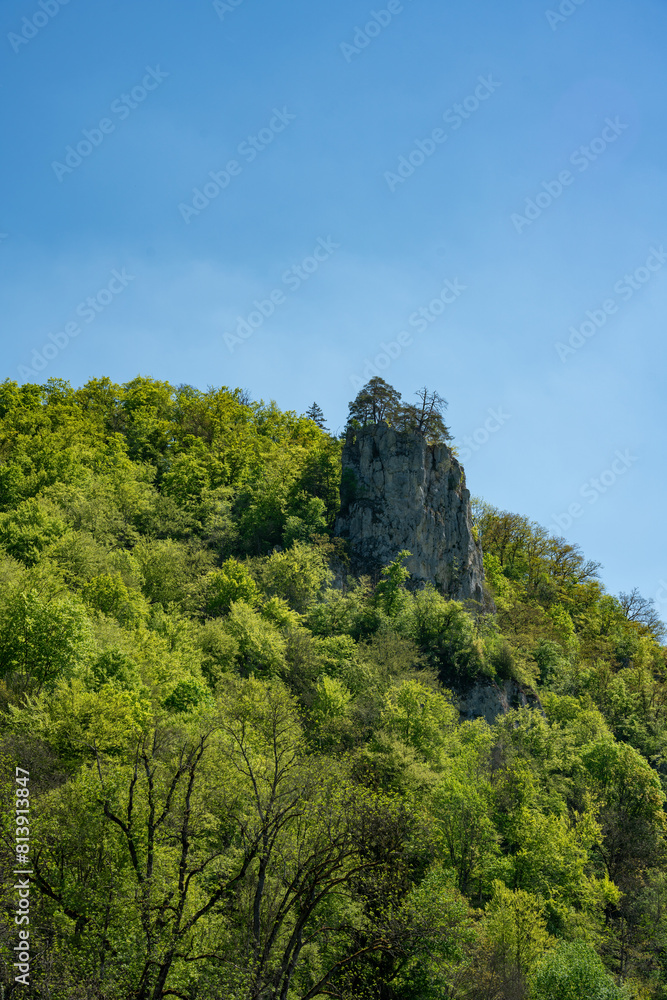 Donautal, Donau, Rocks, Germany, river, forest Donautal, Donau, Rocks, Germany, river, forest