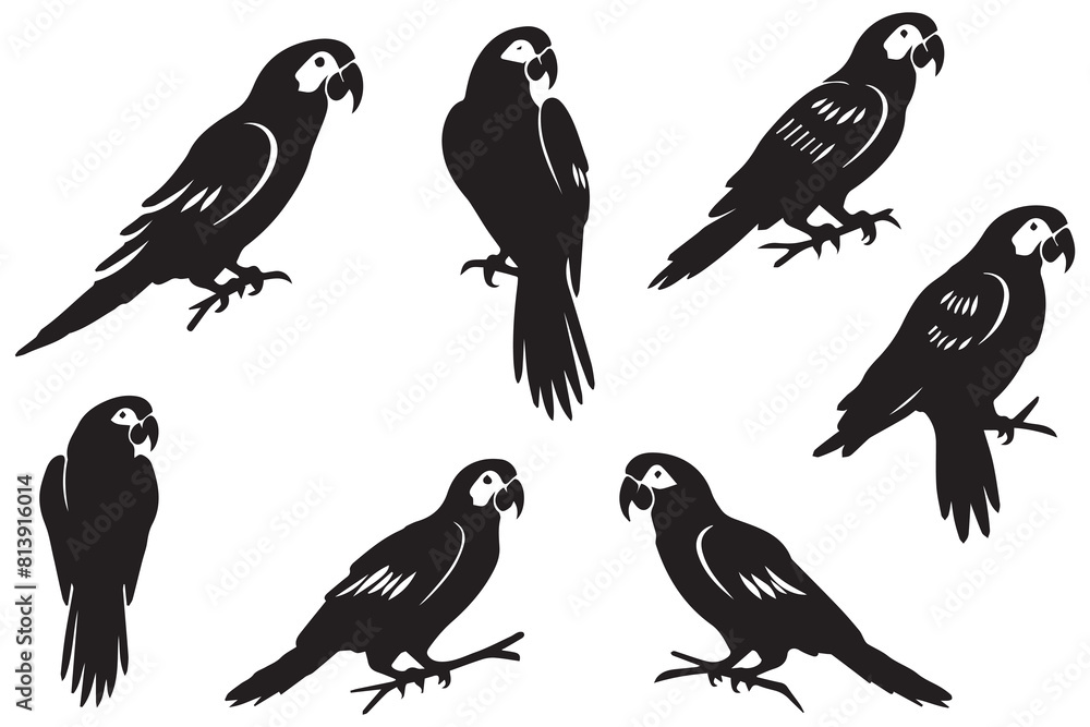 set of parrot silhouettes vector set of parrot silhouettes vector