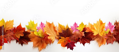 Autumn leaves on a white background with copy space image