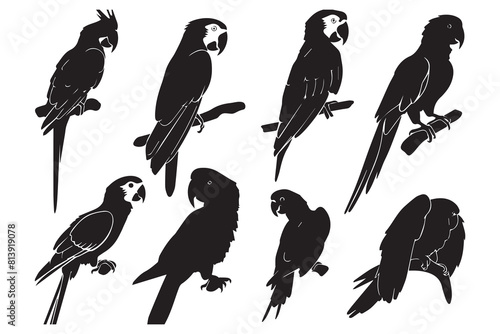 Set of silhouettes of parrots. Collection of tropical birds from the Amazon jungle. Domestic parrot on a sit on a stand. Zoo.Vector illustration on a white background