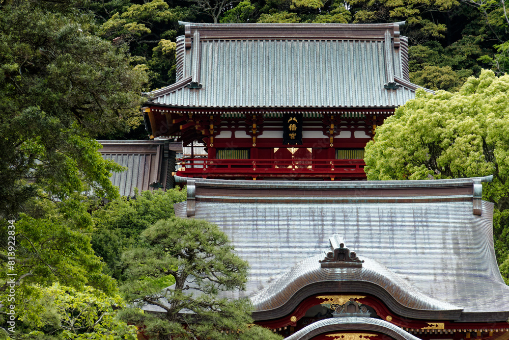 緑芽吹く鶴岡八幡宮