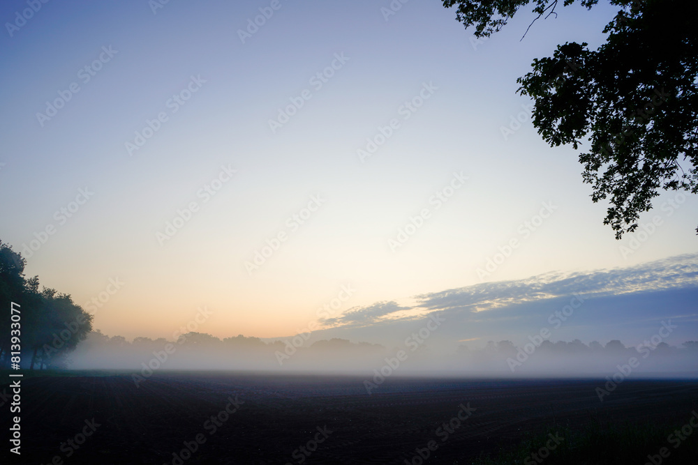 Fototapeta premium Nebeliger Start in den Tag, ein Blick über ein Feld in der Gemeinde Hude