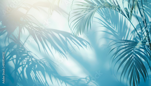 Blurred shadow from palm leaves on the light blue wall. Minimal abstract background for product presentation