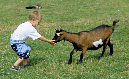 Quadro em tela Enfant avec chèvre