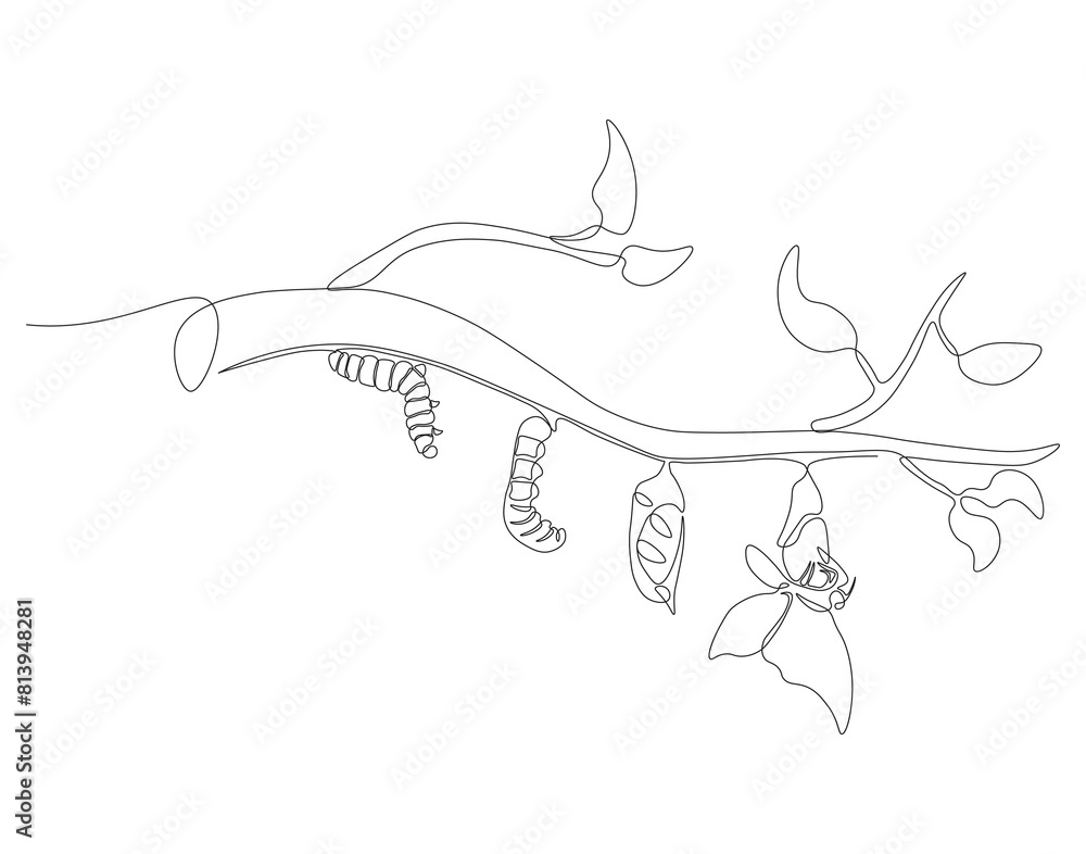 Continuous one line drawing of butterfly life cycle. One line drawing illustration of butterfly metamorphosis. Butterfly transformation concept continuous line art. Editable outline.