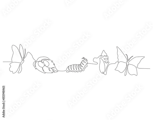 Continuous one line drawing of butterfly life cycle. One line drawing illustration of butterfly metamorphosis. Butterfly transformation concept continuous line art. Editable outline.