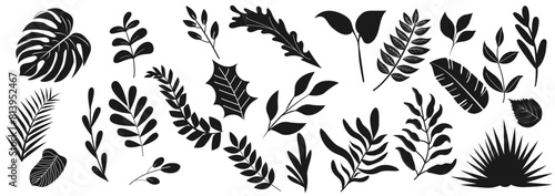 Silhouettes of tropical palm leaves isolated on white background. Exotic plants leaves set. Black leaves palm, fan palm, banana leaves. Nature leaves collection. Vector illustration. Jungle leaves.