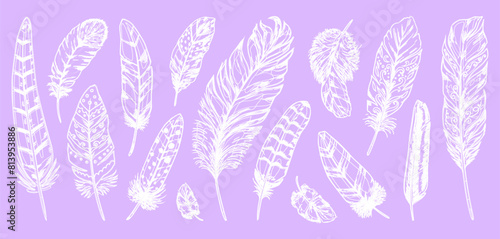Tribal feather. White hand drawn decorative elements isolated on purple background, different bird plumage, goose or swan or angel plume, lightness symbol, ethnic print, vector illustration