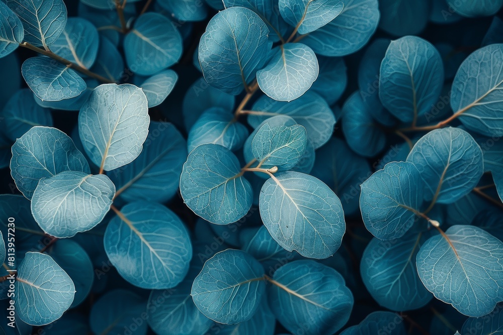 Eucalyptus Tree Grove: Blue-green leaves with a distinctive aroma. Eucalyptus Tree Grove: Blue-green leaves with a distinctive aroma.