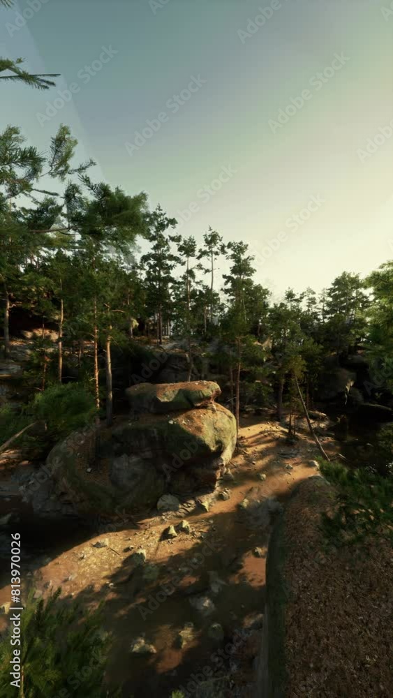 A view of a dense wooded area featuring scattered rocks and towering trees, showcasing natures rugged beauty. A view of a dense wooded area featuring scattered rocks and towering trees, showcasing natures rugged beauty.