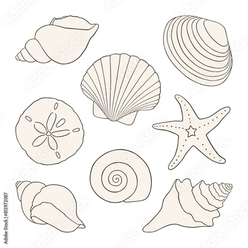 Hand Drawn Vector Seashells. Including Starfish, Scallop, Sand Dollar, and Clam Shell