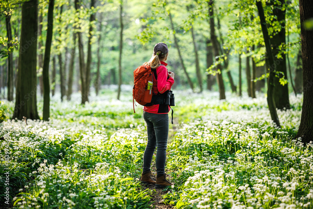 Woman tourist with red backpack hiking in spring forest. Hike and joy in nature. Female hiker explore woodland Woman tourist with red backpack hiking in spring forest. Hike and joy in nature. Female hiker explore woodland