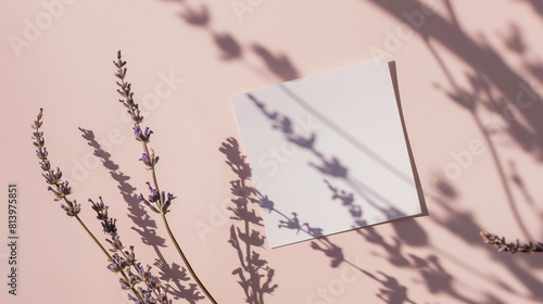 Cartão de papel branco em branco deitado nas sombras ao lado de algumas flores de lavanda em fundo rosa pálido. Vista superior, espaço de cópia