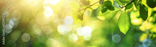 Blurred background of nature with sunlight and green trees Abstract blurred bokeh background with sun rays through leaves in the style of spring or summer time Generative AI